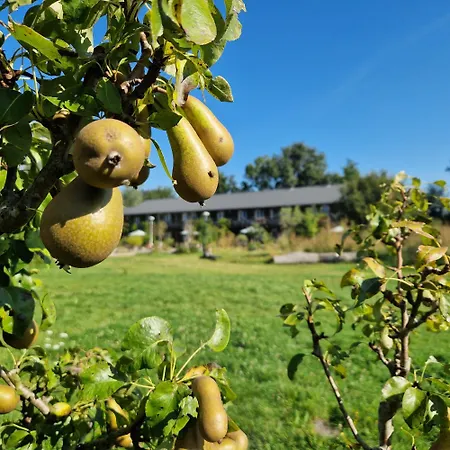 Amsterdam Farm Lodge-2